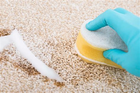 Baking soda on rug. Things To Know About Baking soda on rug. 